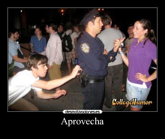 carteles policia gamberrada robo robar fiesta distraccion desmotivaciones