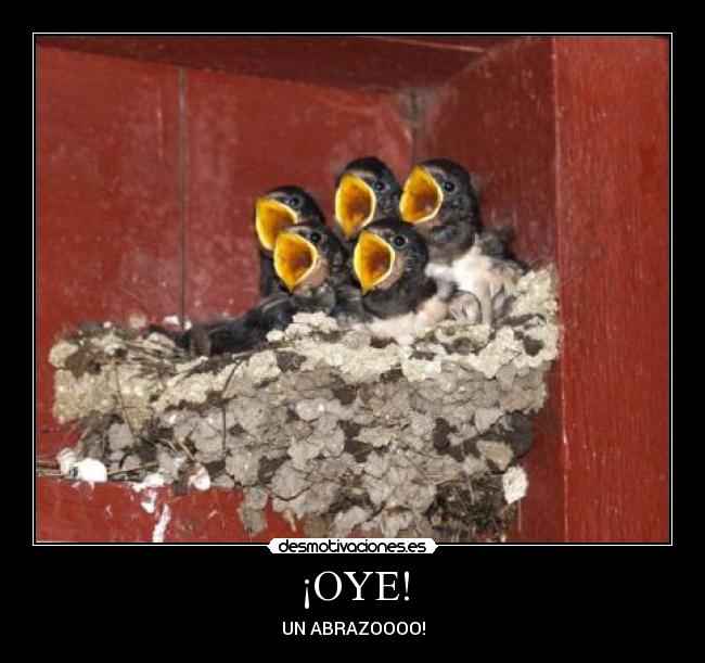 ¡OYE! - UN ABRAZOOOO!