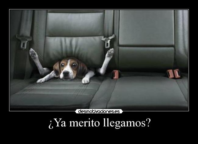 ¿Ya merito llegamos? - 