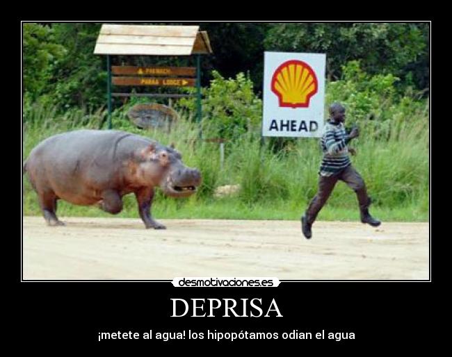 carteles hipopotamo simpson desmotivaciones