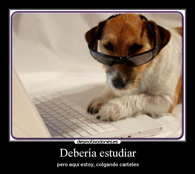 Debería estudiar - pero aquí estoy, colgando carteles