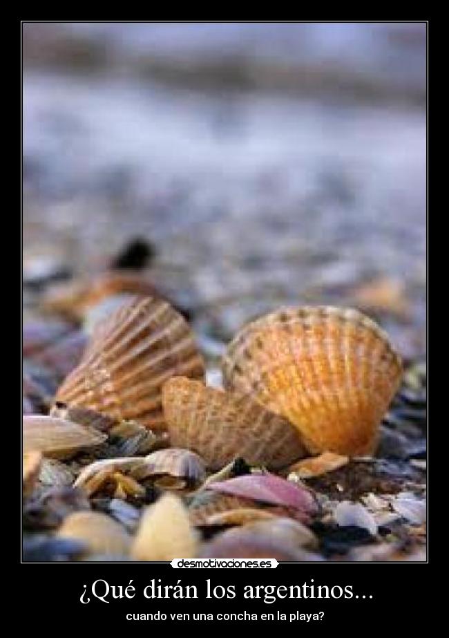¿Qué dirán los argentinos... -