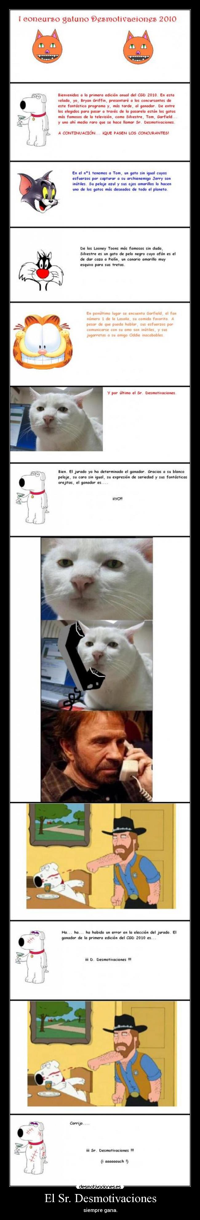 El Sr. Desmotivaciones -