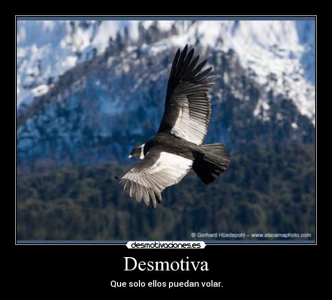 Desmotiva -