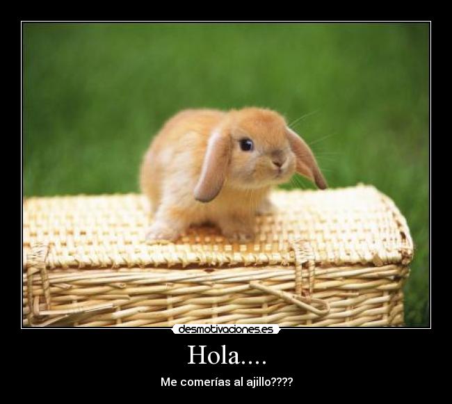 Hola.... - 