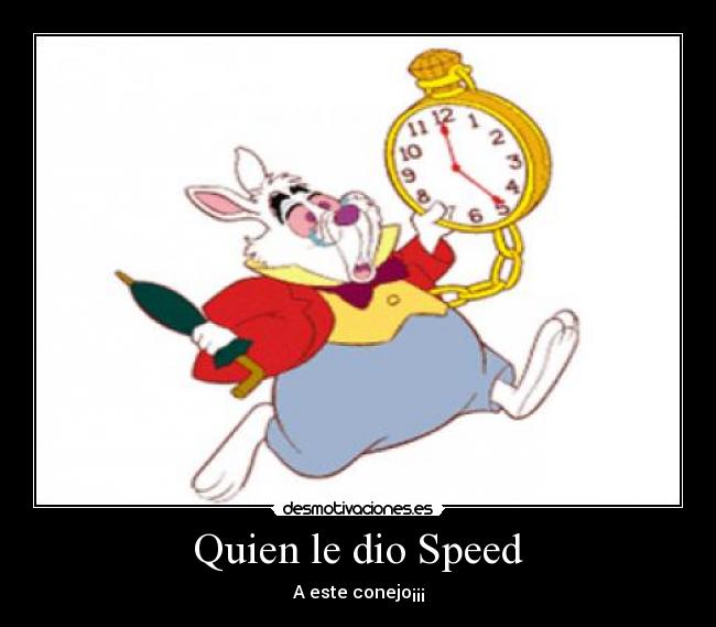 Quien le dio Speed - A este conejo¡¡¡