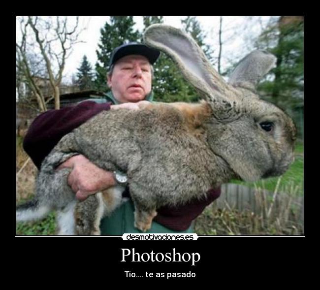 Photoshop - 