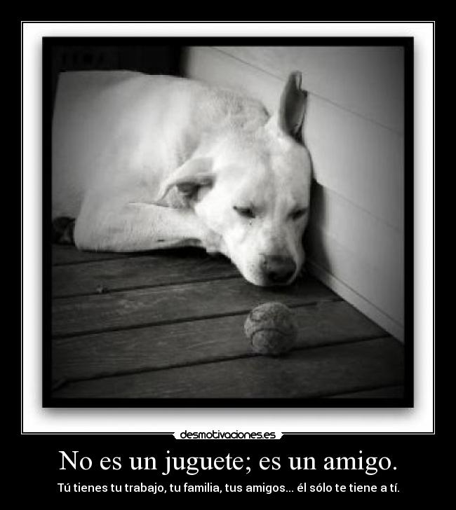 carteles contra abandono maltrato animal desmotivaciones