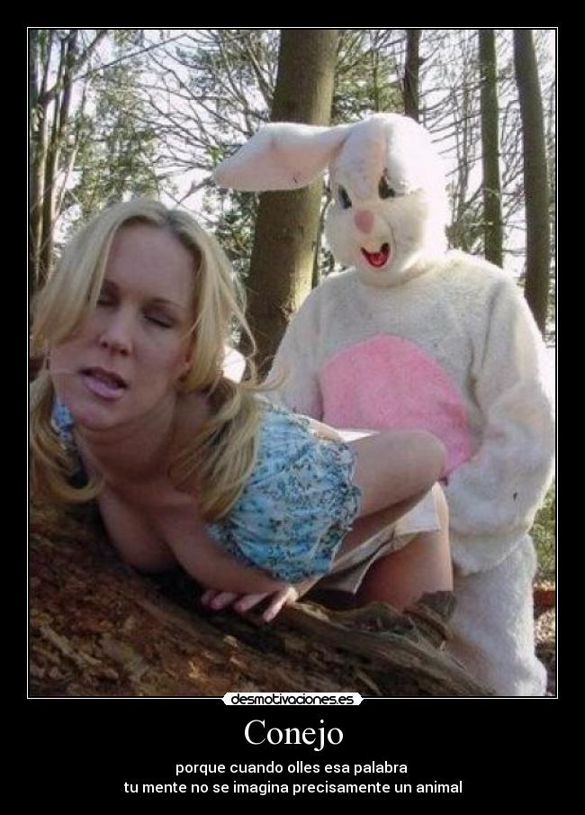 Conejo -