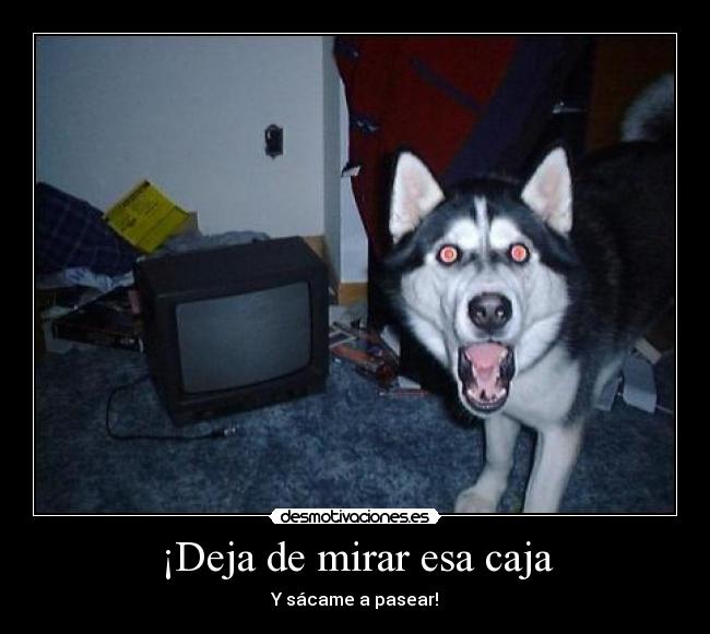¡Deja de mirar esa caja -