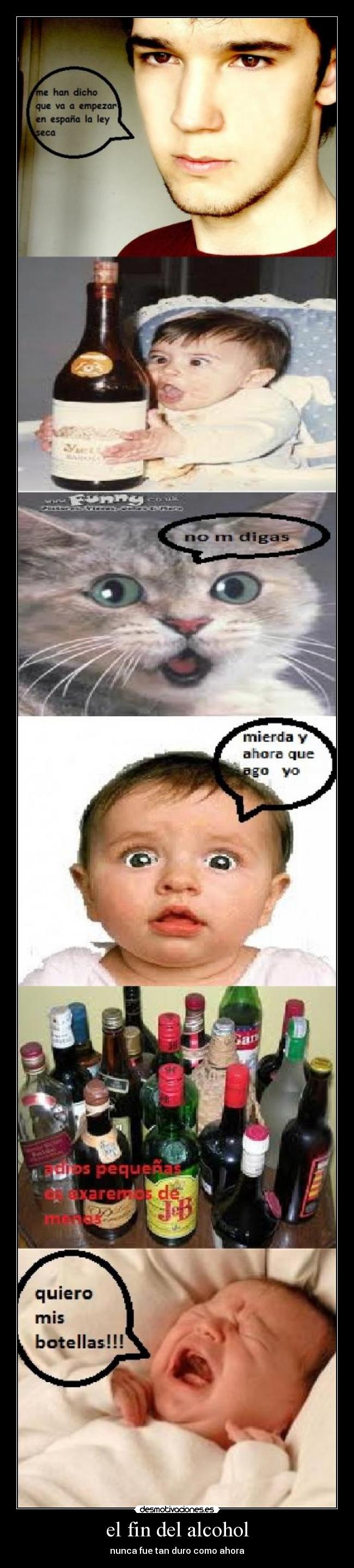 el fin del alcohol -