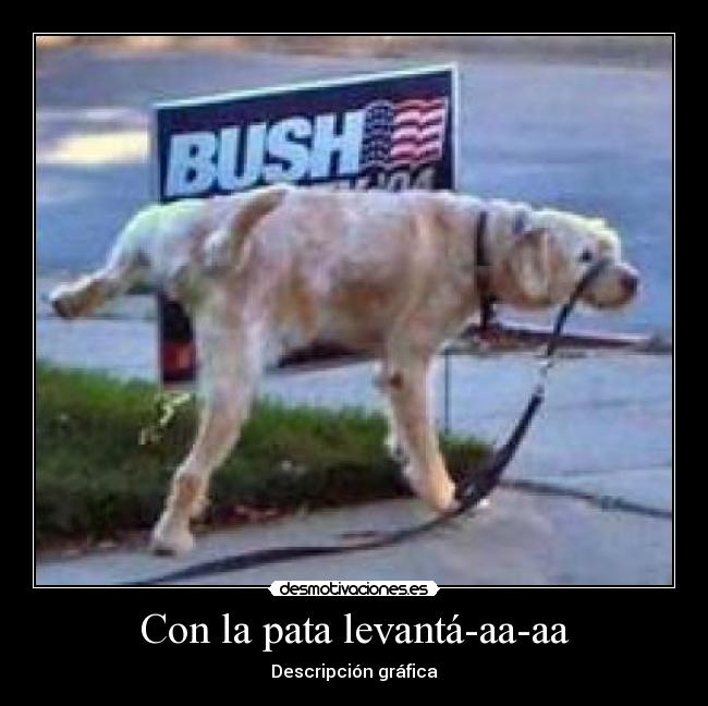 Con la pata levantá-aa-aa - Descripción gráfica