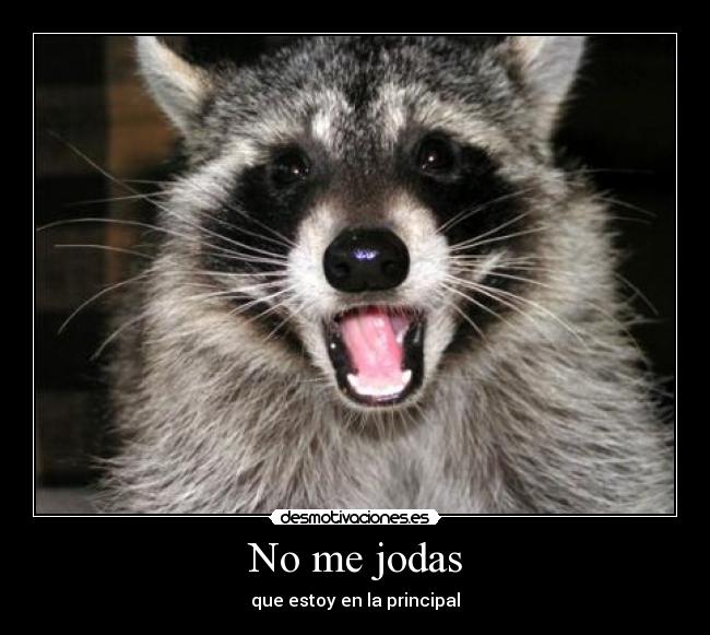 No me jodas - 