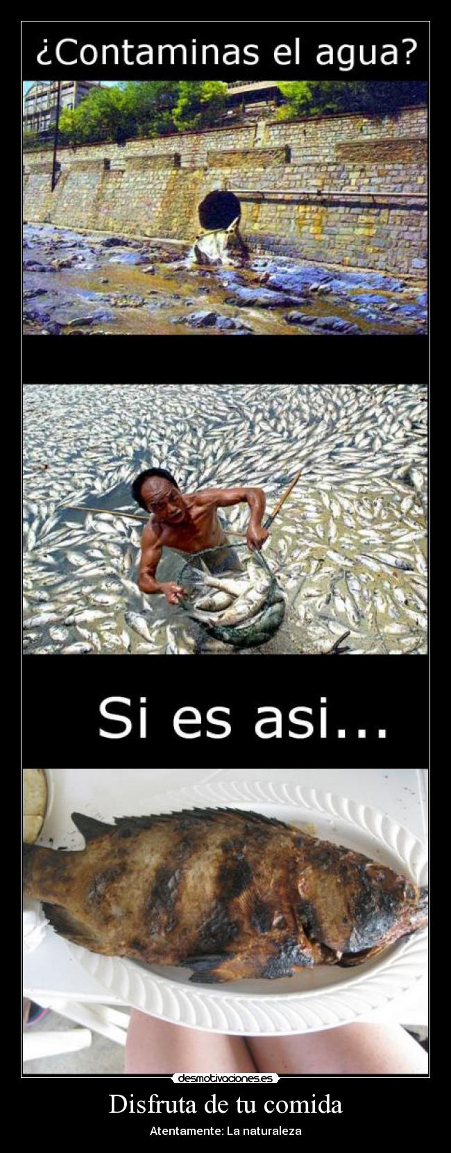 Disfruta de tu comida - Atentamente: La naturaleza