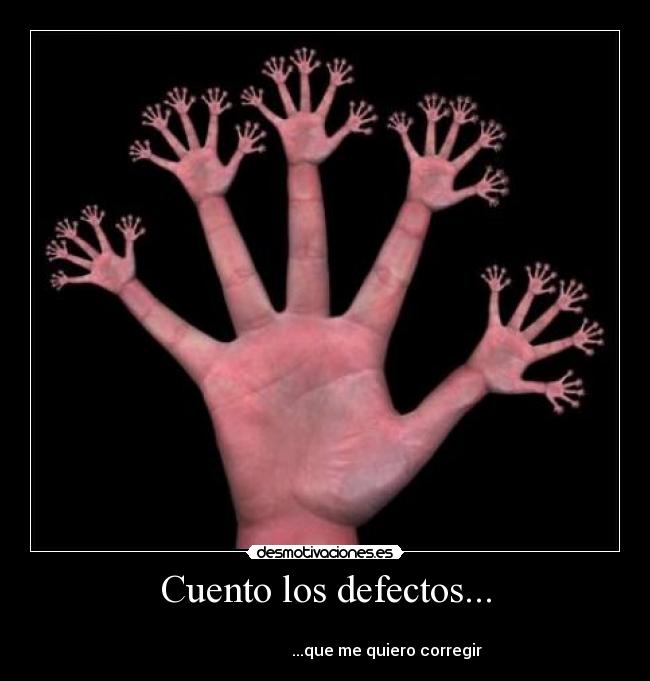 Cuento los defectos... - 