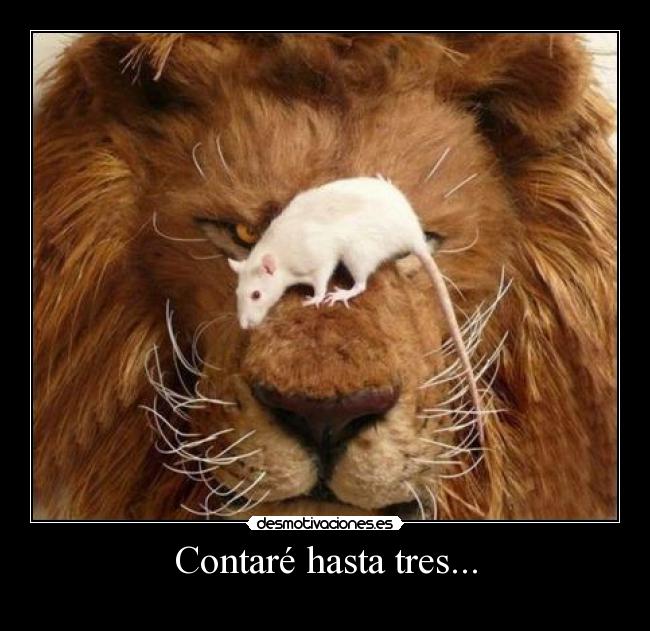 Contaré hasta tres... -
