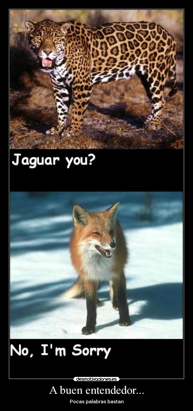 A buen entendedor... - Pocas palabras bastan