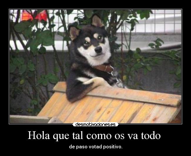 carteles perro molon desmotivaciones