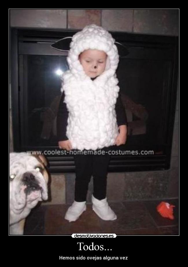Todos... - Hemos sido ovejas alguna vez