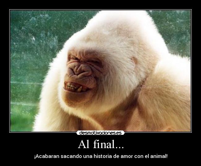 Al final... - 
