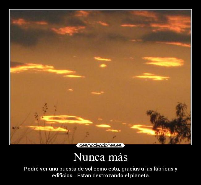 Nunca más -