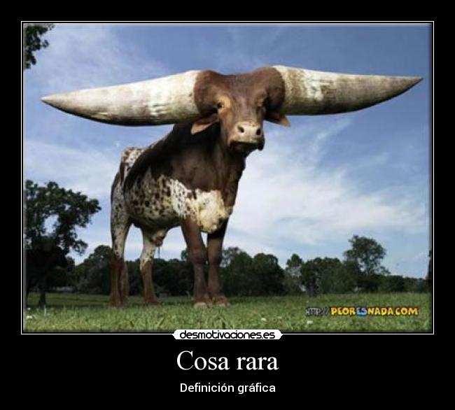 Cosa rara - 