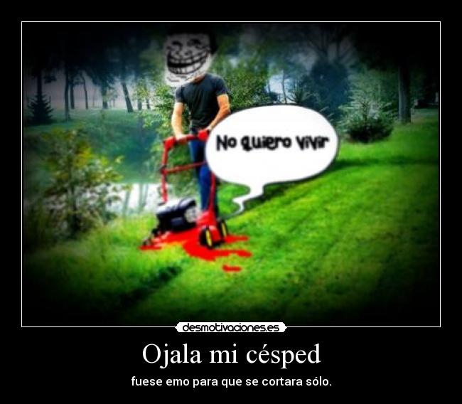 Ojala mi césped -