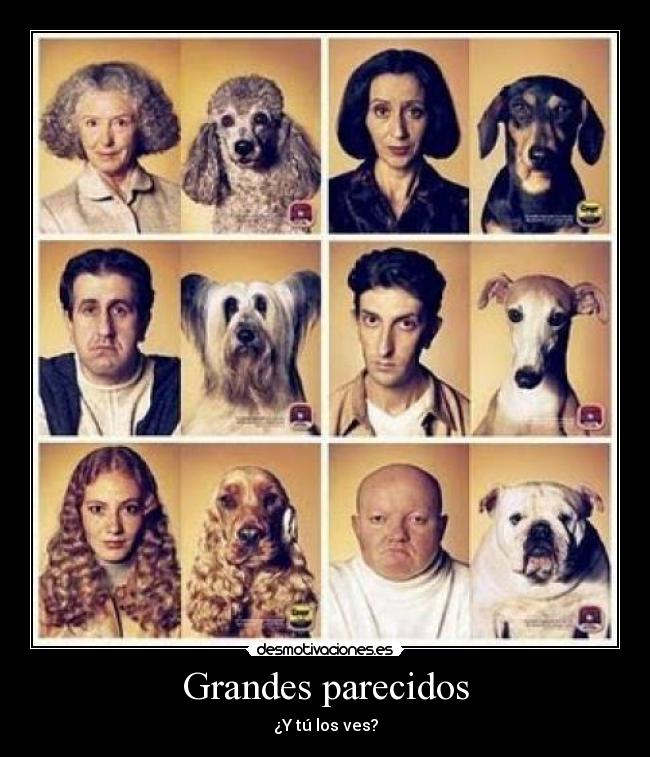 Grandes parecidos -