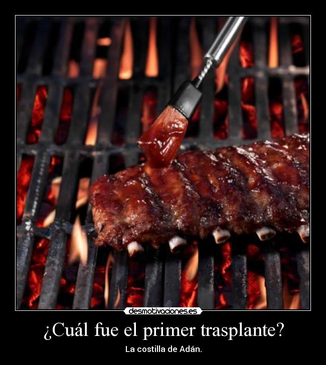 ¿Cuál fue el primer trasplante? - La costilla de Adán.