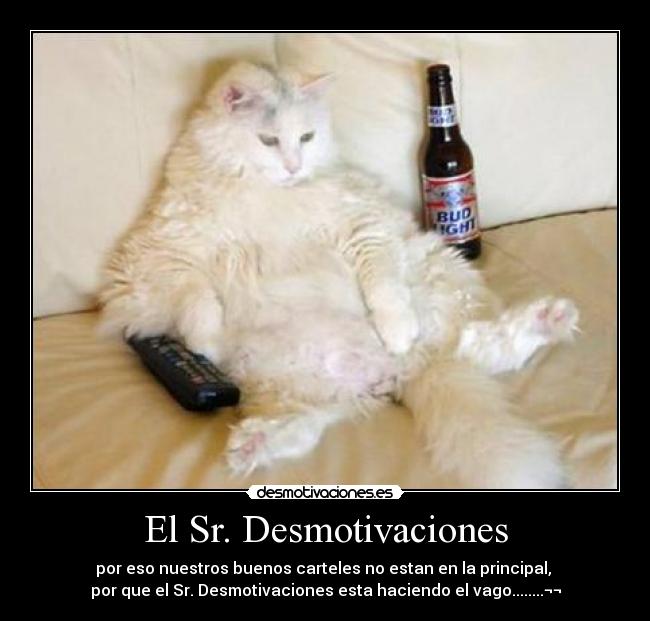 El Sr. Desmotivaciones - por eso nuestros buenos carteles no estan en la principal, 
por que el Sr. Desmotivaciones esta haciendo el vago........¬¬