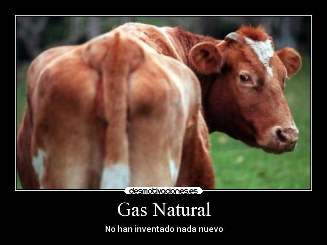 Gas Natural -