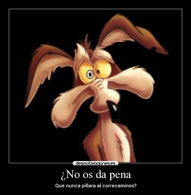 ¿No os da pena - Que nunca pillara al correcaminos?