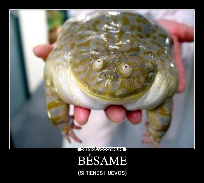 BÉSAME - 