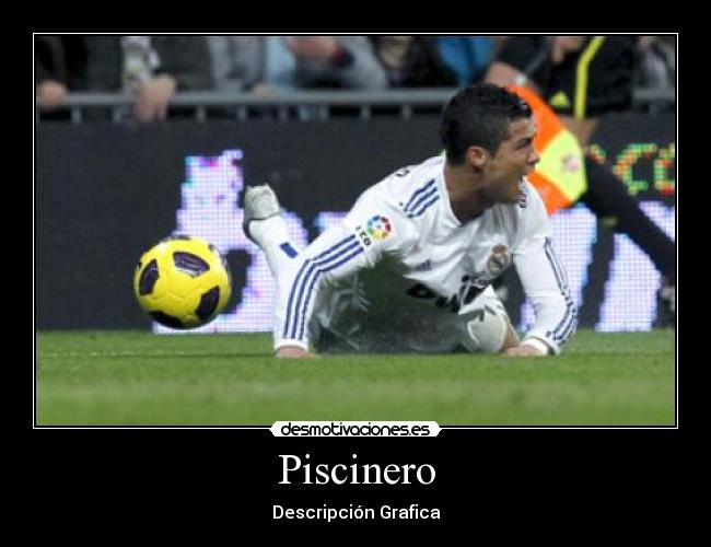 Piscinero - Descripción Grafica