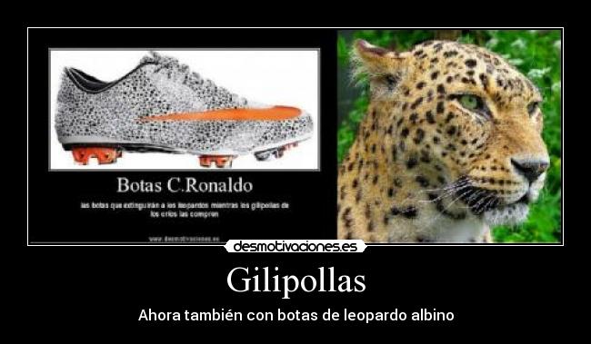 Gilipollas - Ahora también con botas de leopardo albino