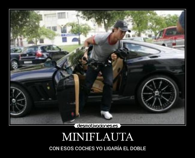 MINIFLAUTA - 