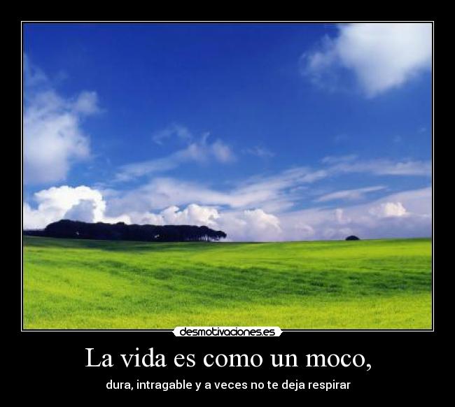 carteles vida moco desmotivaciones