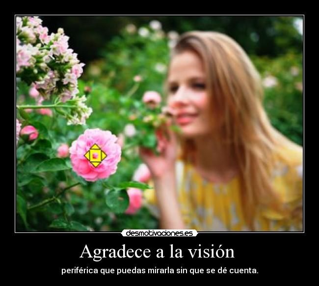 Agradece a la visión  - periférica que puedas mirarla sin que se dé cuenta.