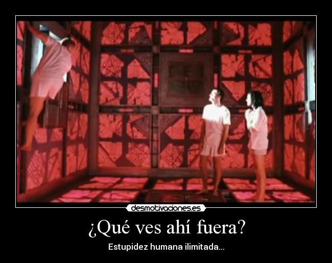 ¿Qué ves ahí fuera? - Estupidez humana ilimitada...