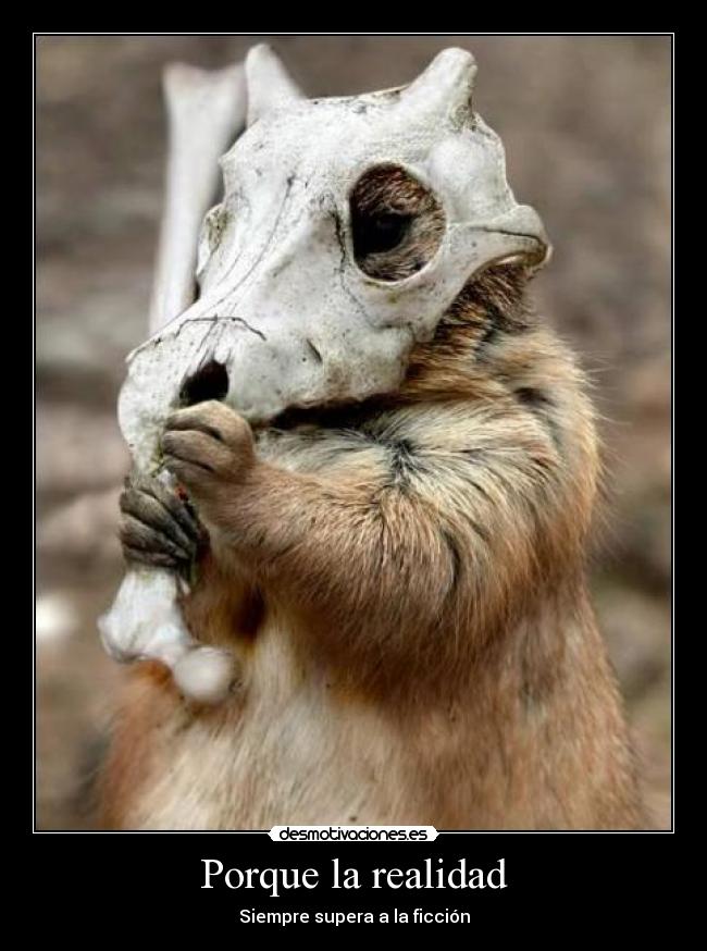 Porque la realidad -