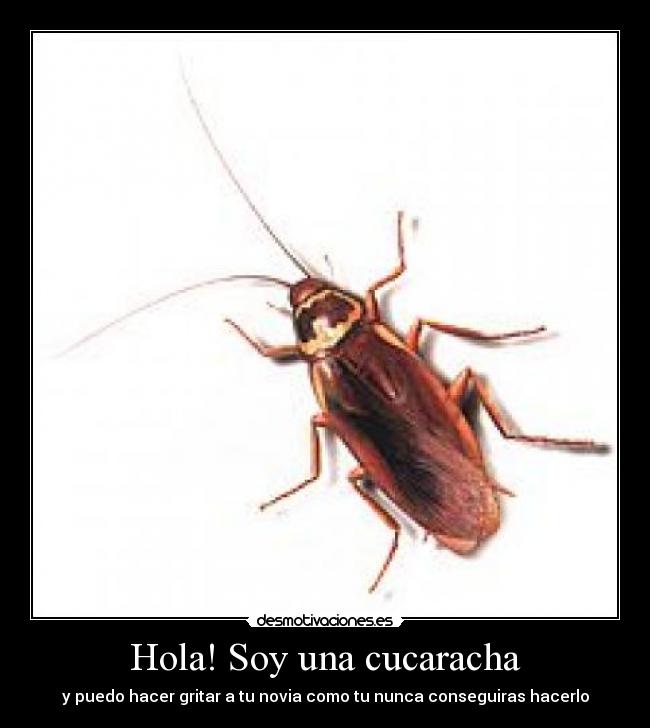 carteles lol desmotivaciones