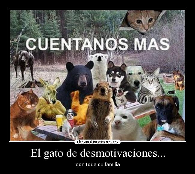 El gato de desmotivaciones... - 