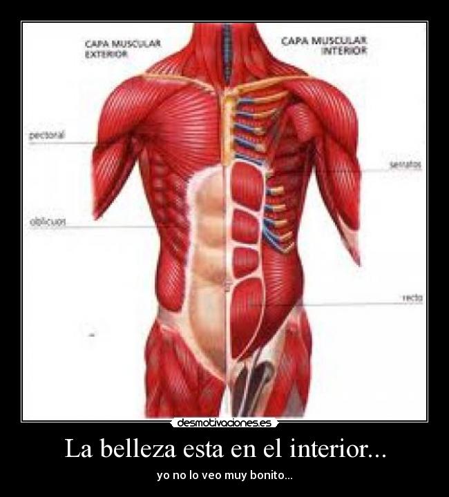 La belleza esta en el interior... - yo no lo veo muy bonito...