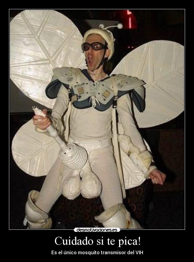 Cuidado si te pica! - Es el único mosquito transmisor del VIH