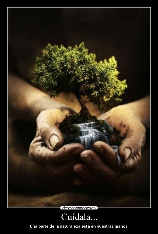 carteles cuidala desmotivaciones