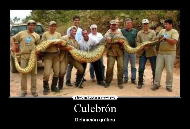 carteles culebron desmotivaciones