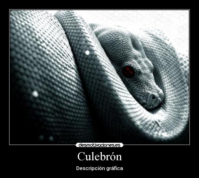 Culebrón - Descripción gráfica