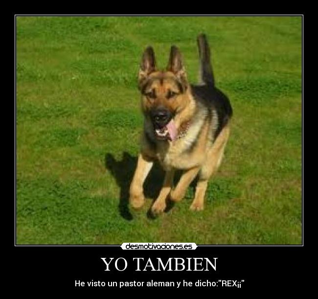 YO TAMBIEN -