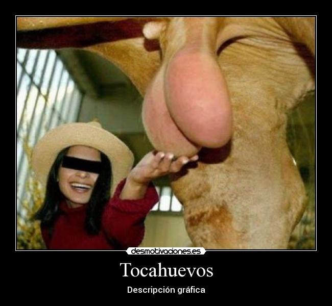 Tocahuevos - 