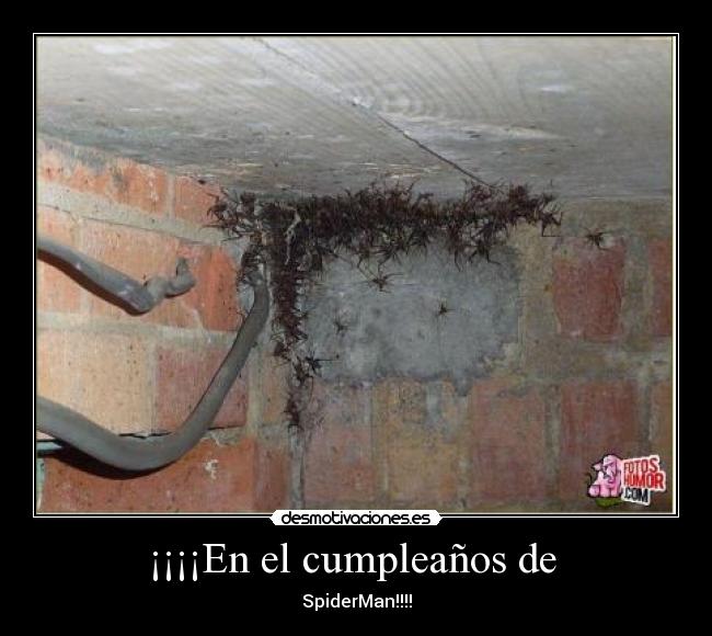 ¡¡¡¡En el cumpleaños de -